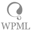 herramienta wpml